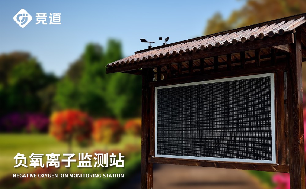 大氣負(fù)離子監(jiān)測系統(tǒng)