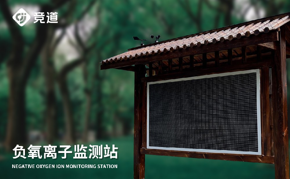 負(fù)氧離子監(jiān)測儀
