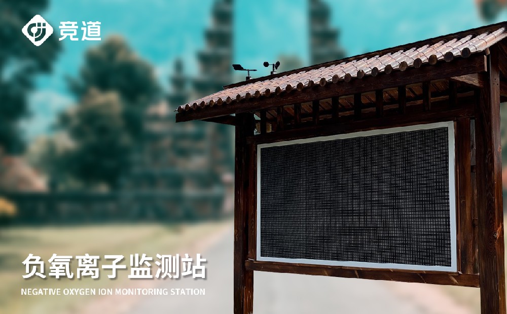負氧離子監(jiān)測儀