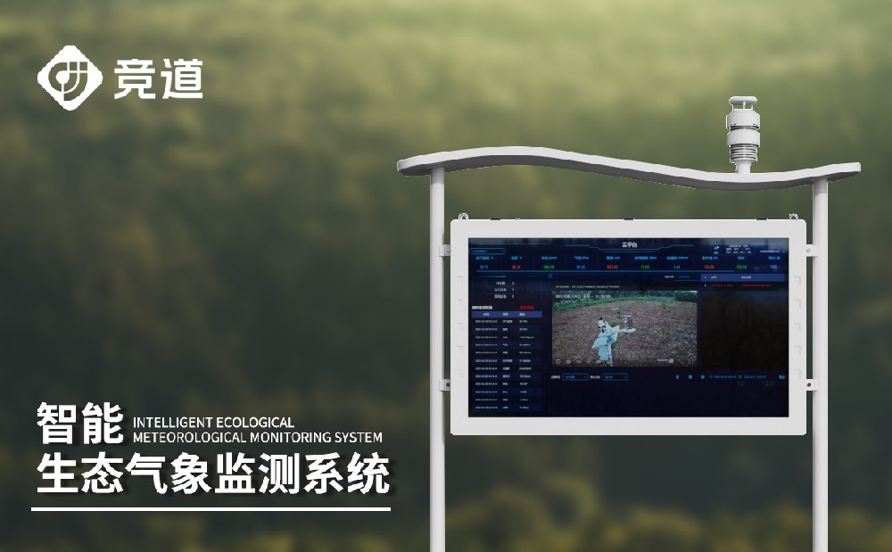 大氣負(fù)離子監(jiān)測(cè)系統(tǒng)