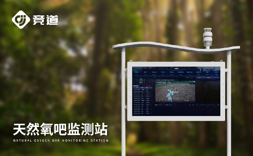 高智能負(fù)氧離子監(jiān)測(cè)站